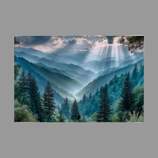 Light Over Wildwood  Satin Poster Art Print