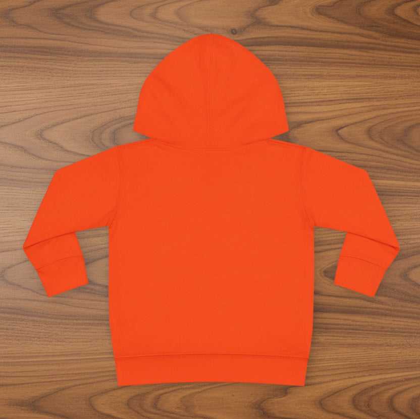 Toddler 'Happy Camper' Hoodie
