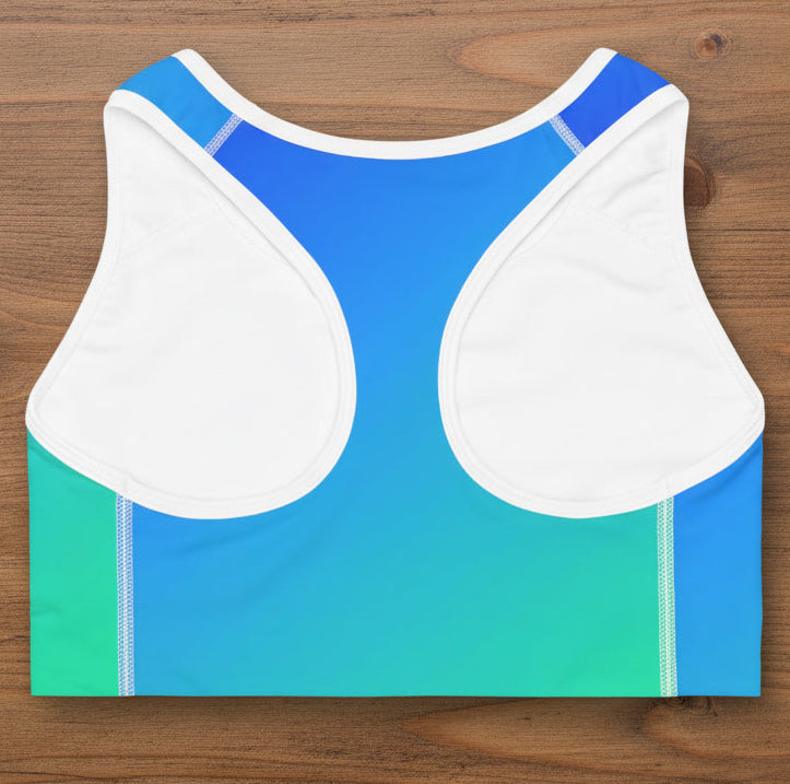 Women’s Blue Ombré Sports Bra