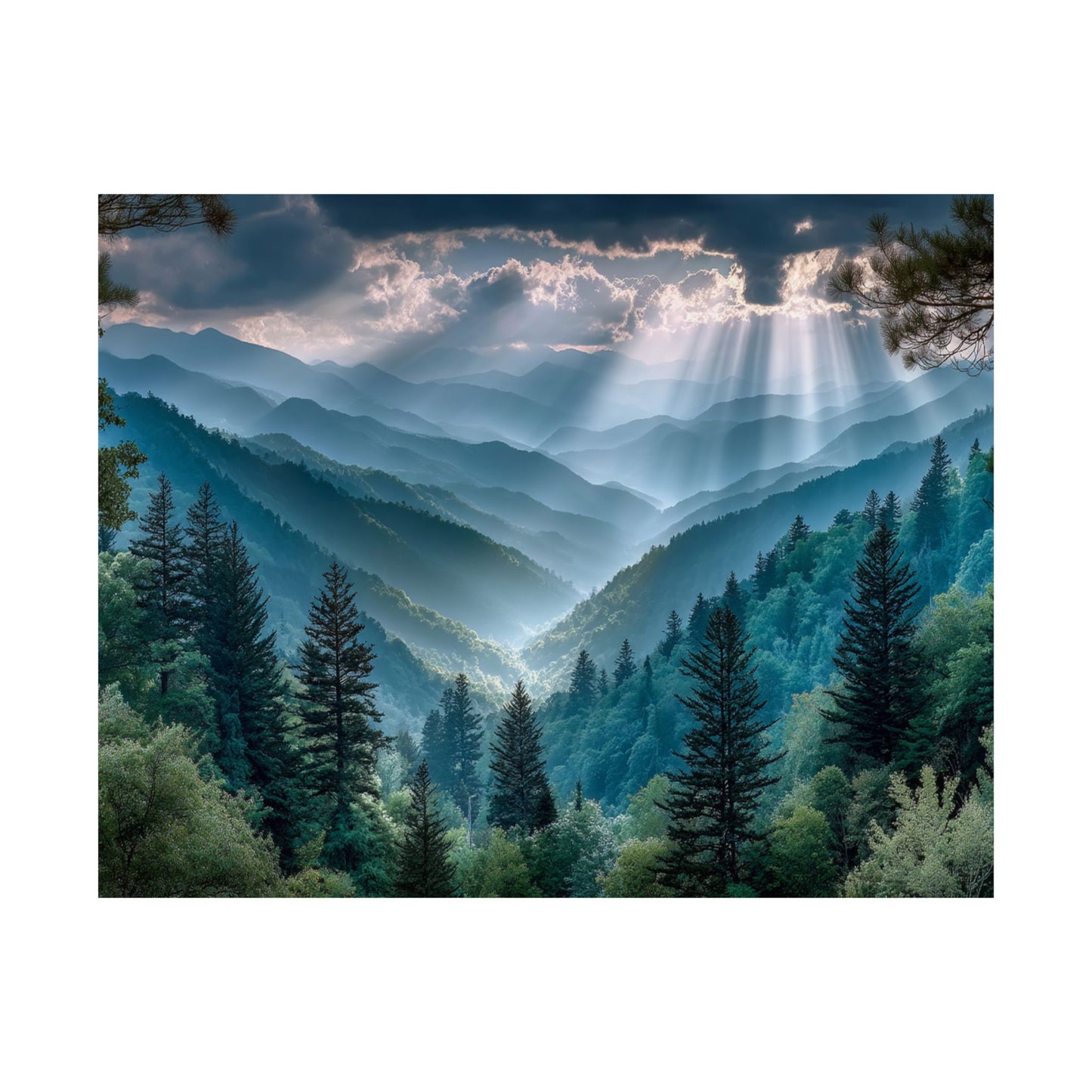 Light Over Wildwood  Satin Poster Art Print