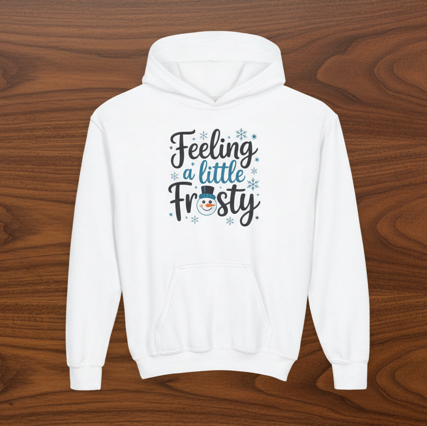 Youth “Feeling a Little Frosty” Hoodie
