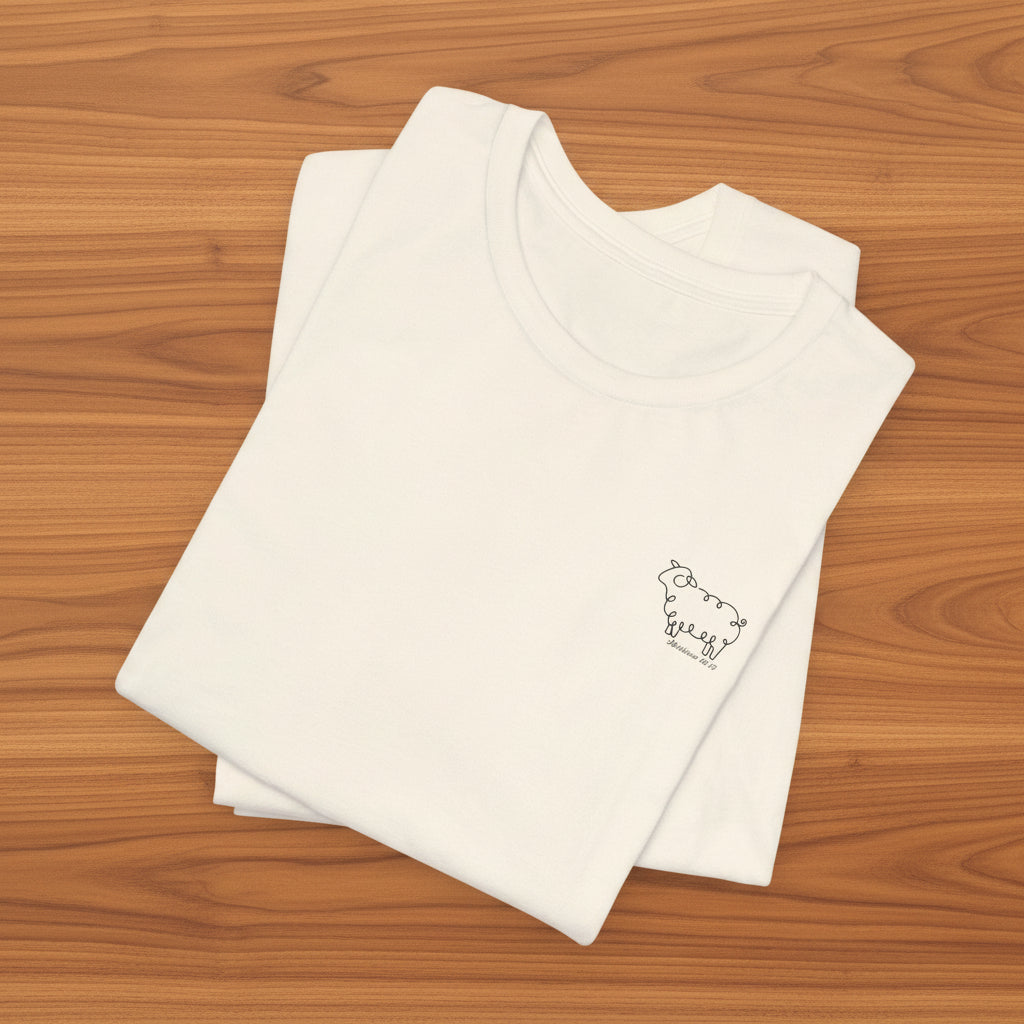 Matthew 18:13 Lost Sheep Tee