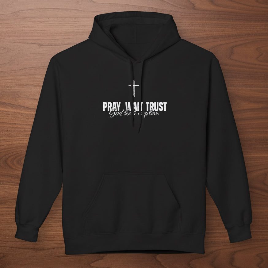 Pray Wait Trust God has a plan Hoodie