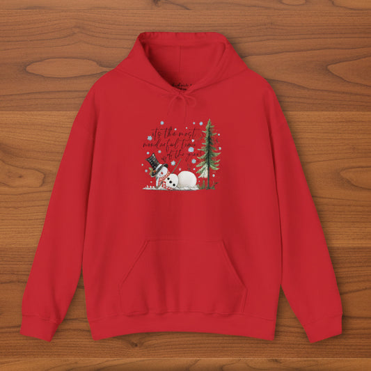 It’s the Most Wonderful Time of Year Hoodie