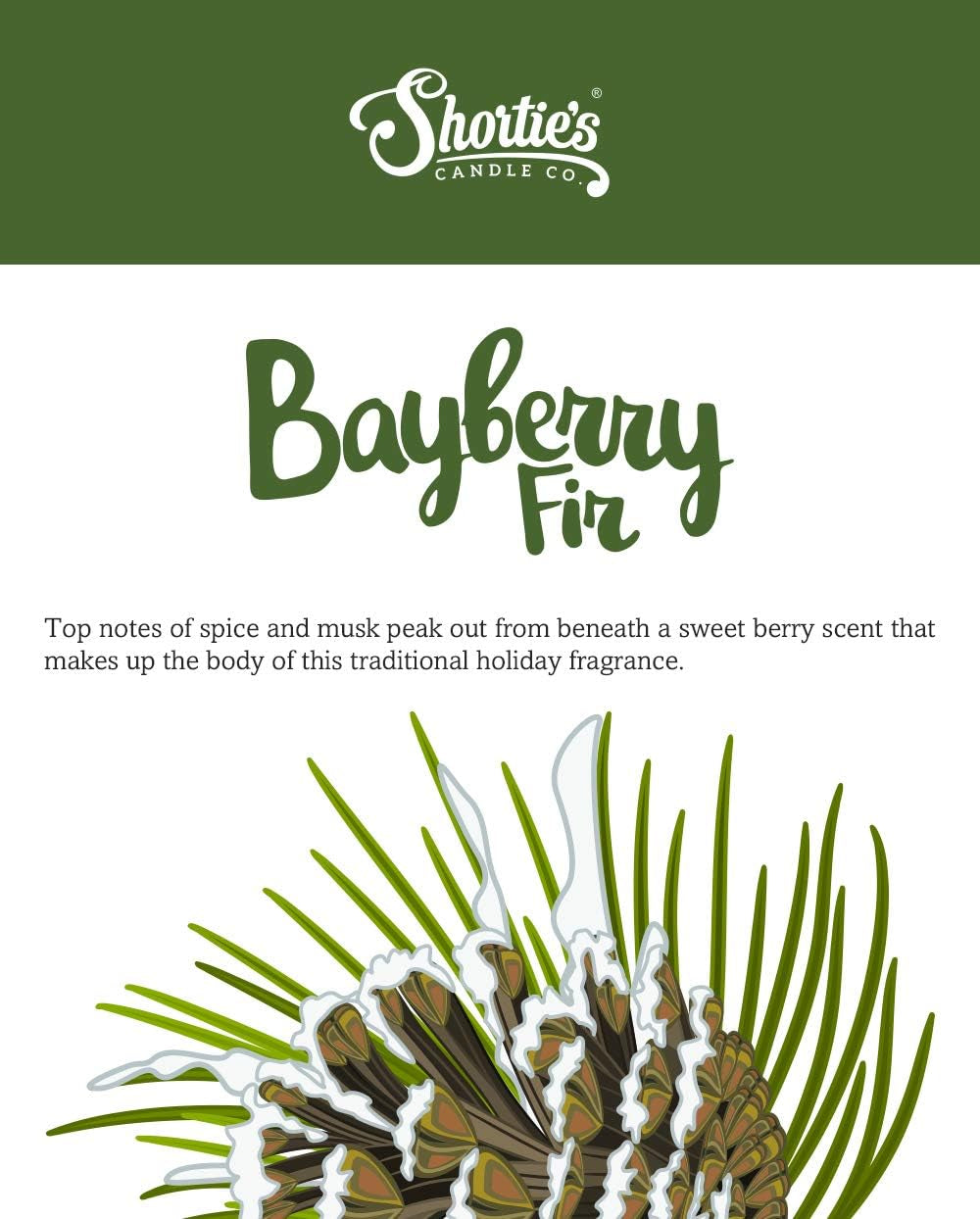 Bayberry Fir Wax Melts - Formula 117-1 Highly Scented 3 Oz. Bar - Made with Natural Oils - Christmas & Holiday Air Freshener Cubes Collection